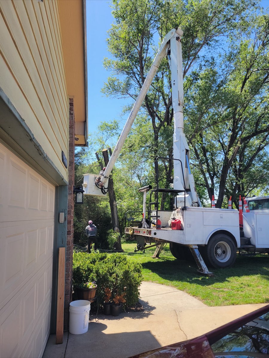 Tree removal and cleanup by Halls Tree Service near Wichita, KS